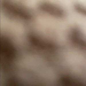 Meet your Posher, Lily